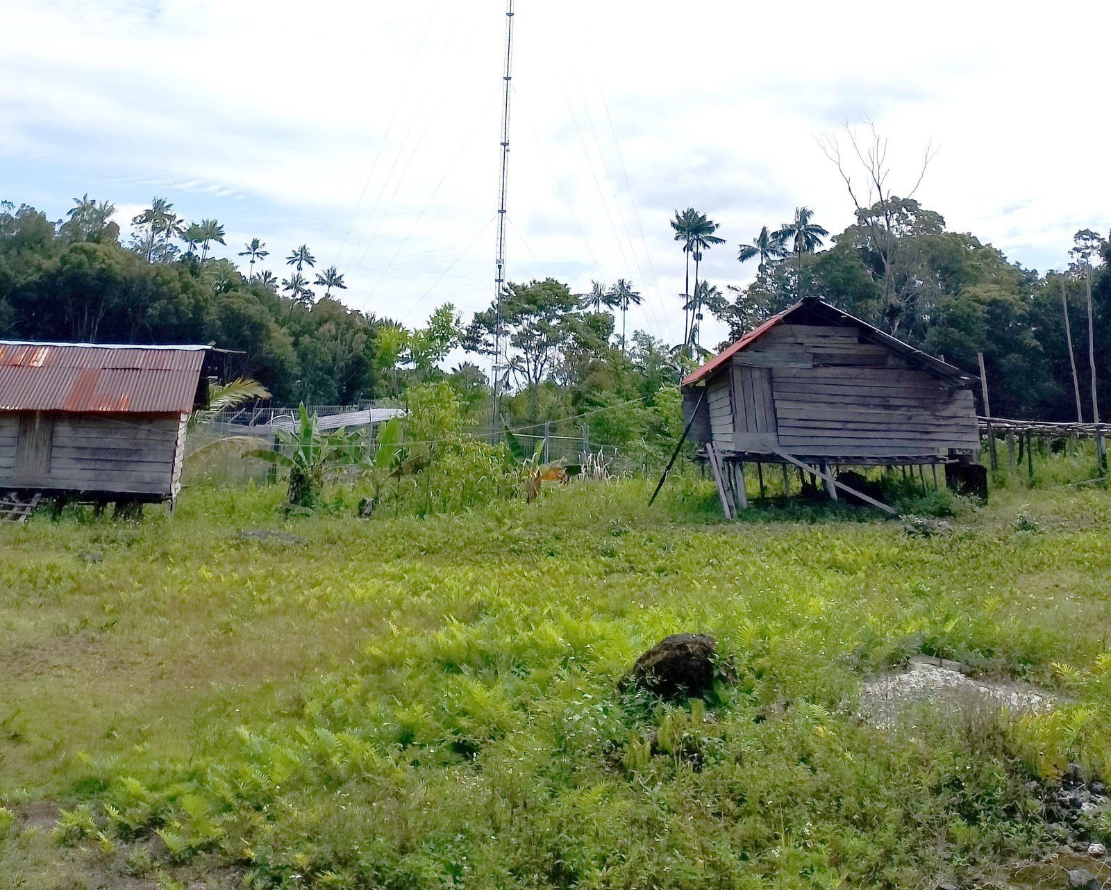 Sektor Transportasi dan Komunikasi