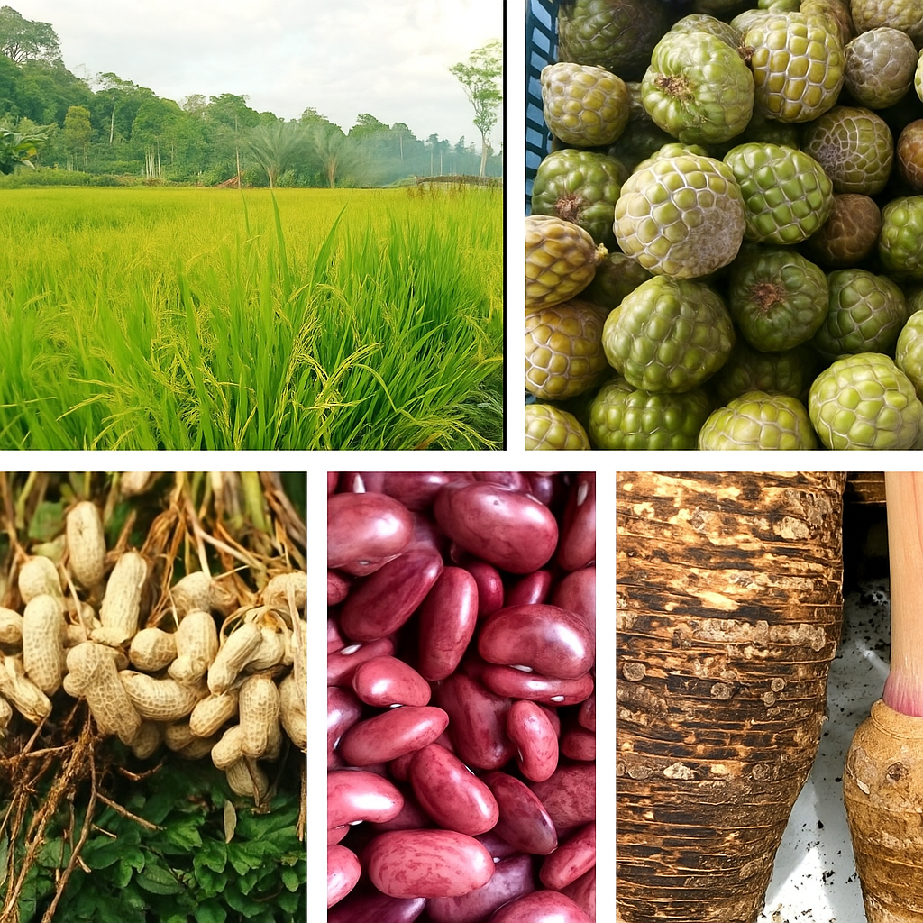  Sektor Pertanian, Peternakan, Tanaman Pangan dan Hortikultura.