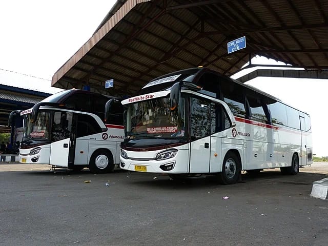 xczxxdsdssdsdasdasdas