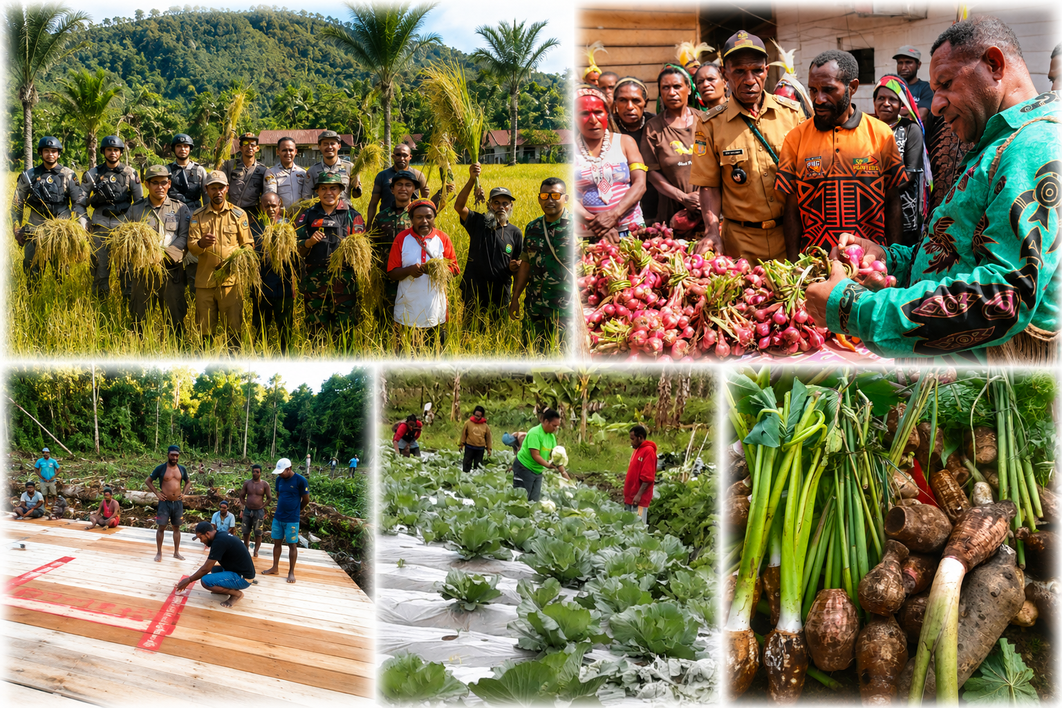 Sektor Pertanian, Perkebunan, Peternakan, Tanaman Pangan Dan Hortikultura.