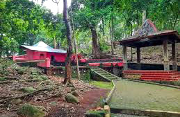 Hutan Wisata Plangon 2