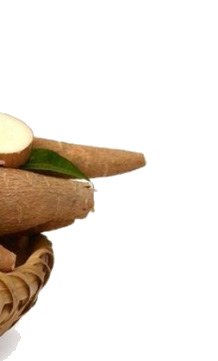 Sayuran Tubaba