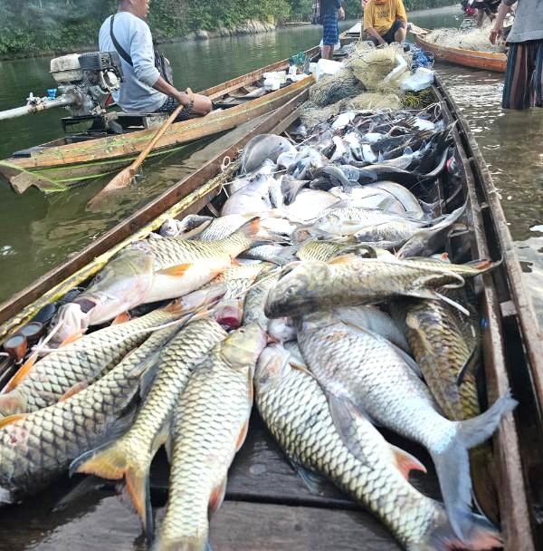 Perikanan Kabupaten Tulang Bawang Barat