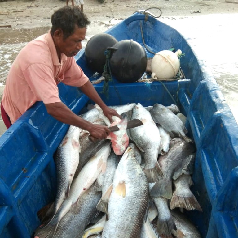 Aktivitas ekonomi masyarakat Tanimbar