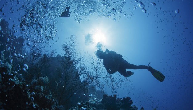 Pulau Matakus