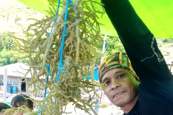 Peta lokasi pengembangan Tanimbar