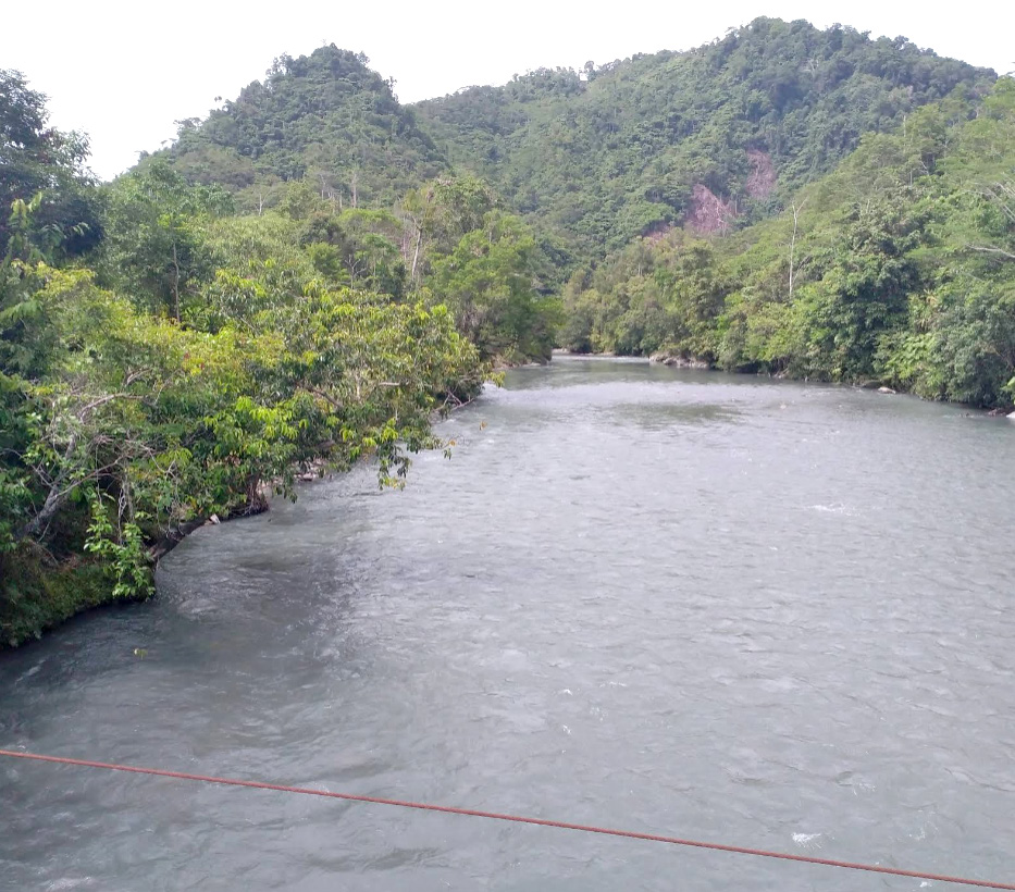 Aliran sungai Pegunungan Bintang