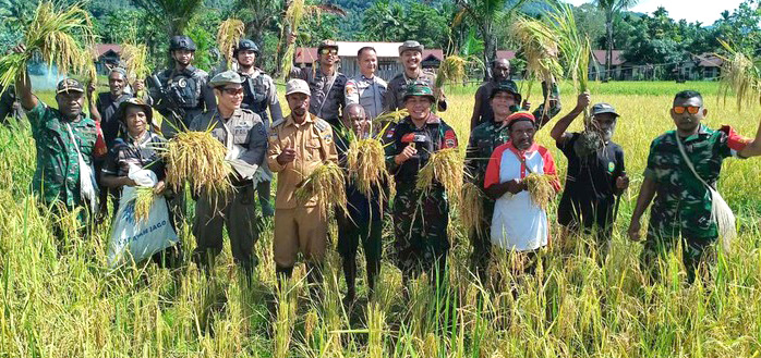 Potensi Pertanian Pegunungan Bintang