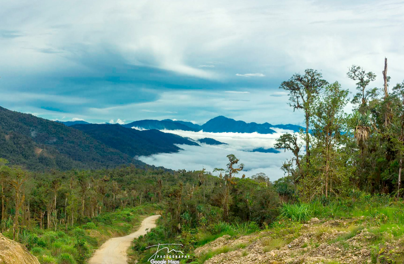 Hutan dan Pegunungan Bintang