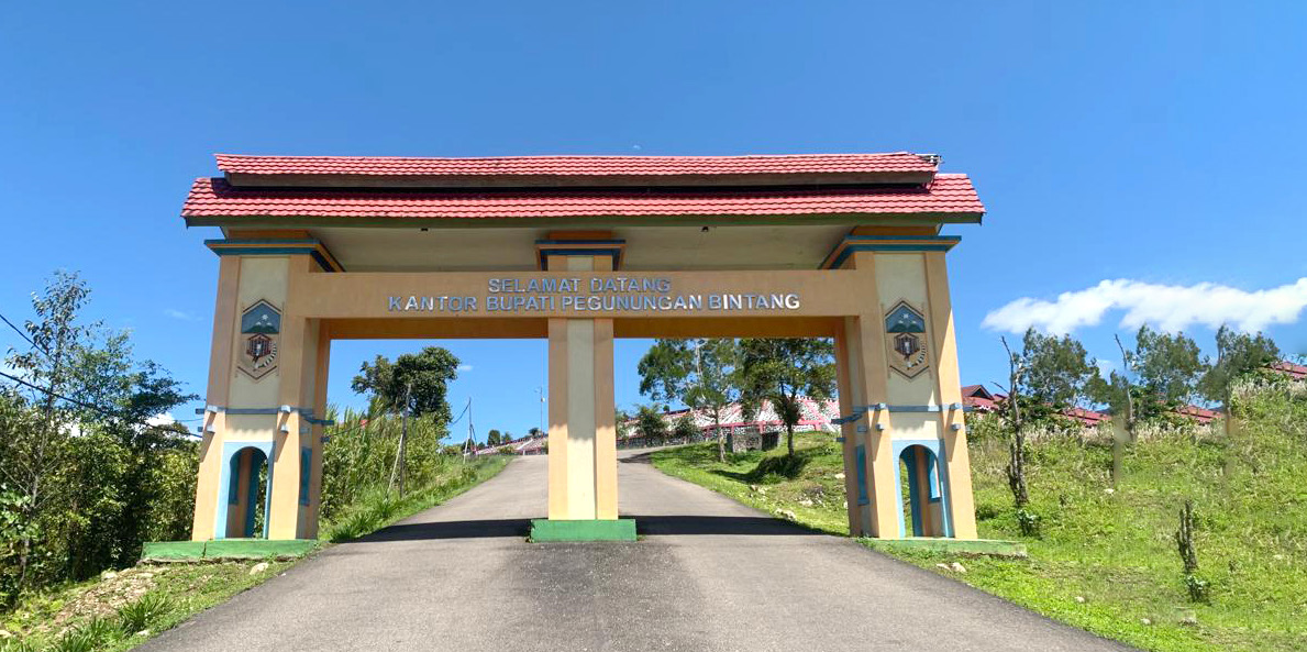 Pegunungan Bintang
