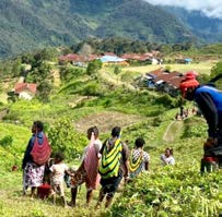 Topografi Kabupaten Pegunungan Bintang