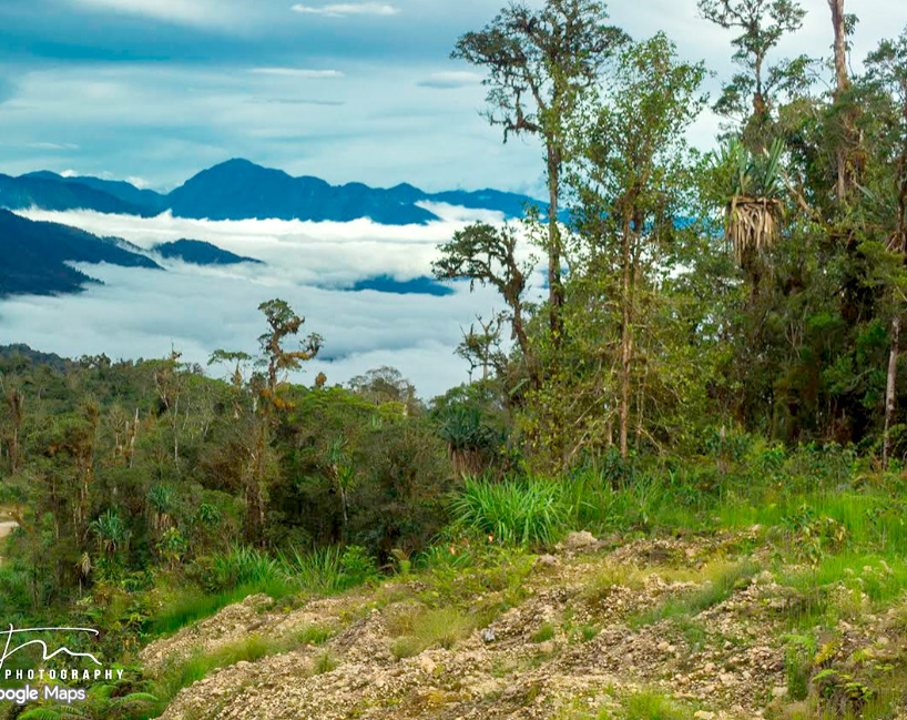 Negeri di Dalam Awan Pegunungan Bintang