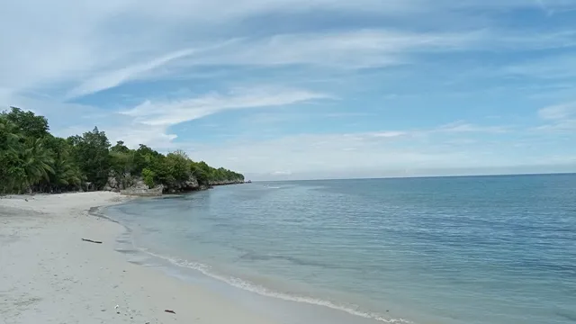 Pantai Palippis